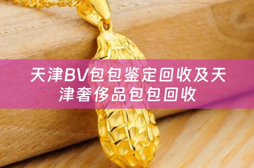 天津BV包包鑒定回收及天津奢侈品包包回收