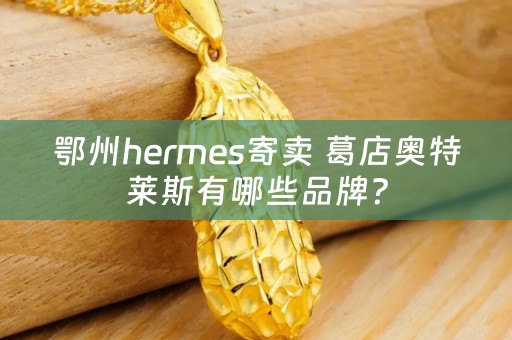 鄂州hermes寄卖 葛店奥特莱斯有哪些品牌？