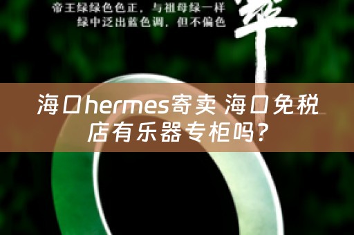 海口hermes寄卖 海口免税店有乐器专柜吗？
