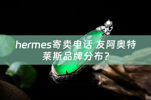 hermes寄卖电话 友阿奥特莱斯品牌分布？