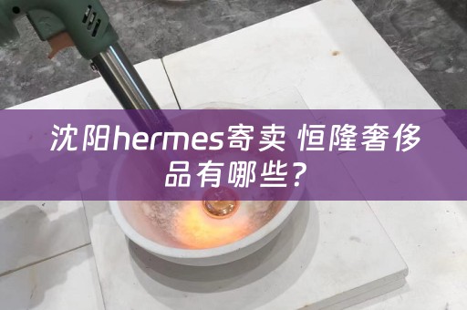 沈阳hermes寄卖 恒隆奢侈品有哪些？
