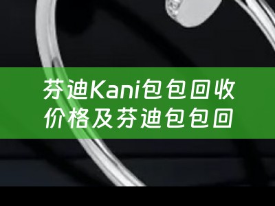 芬迪Kani包包回收价格及芬迪包包回收价格查询，了解最新回收行情