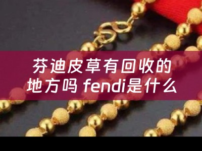 芬迪皮草有回收的地方吗 fendi是什么牌子的箱包？