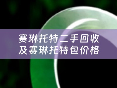 赛琳托特二手回收及赛琳托特包价格