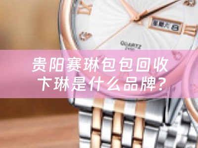 贵阳赛琳包包回收 卞琳是什么品牌？