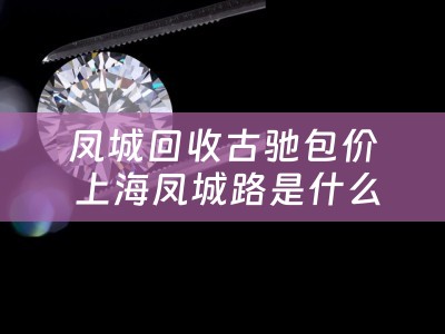 凤城回收古驰包价 上海凤城路是什么商圈？