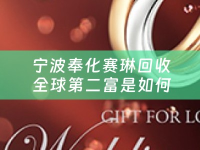宁波奉化赛琳回收 全球第二富是如何练成的？