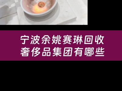 宁波余姚赛琳回收 奢侈品集团有哪些？