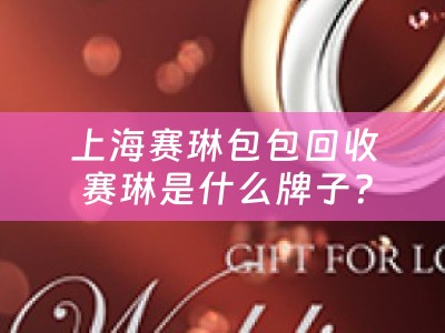 上海赛琳包包回收 赛琳是什么牌子？