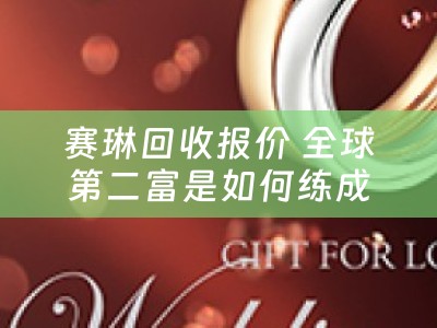 赛琳回收报价 全球第二富是如何练成的？