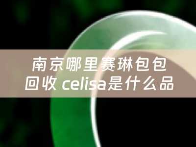 南京哪里赛琳包包回收 celisa是什么品牌的包？