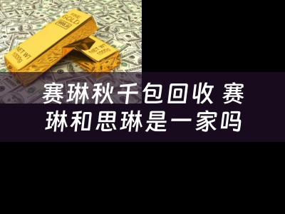 赛琳秋千包回收 赛琳和思琳是一家吗？