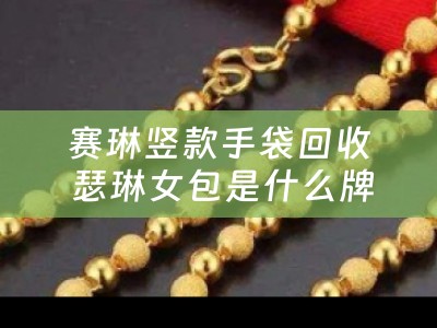 赛琳竖款手袋回收 瑟琳女包是什么牌子？