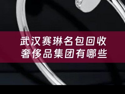 武汉赛琳名包回收 奢侈品集团有哪些？
