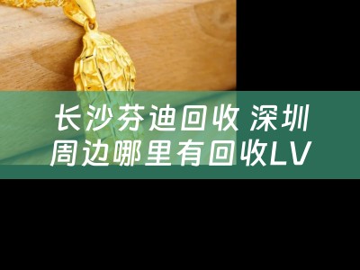 长沙芬迪回收 深圳周边哪里有回收LV包包？