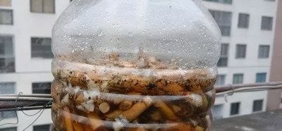 20块钱一斤，烟头也成了“香饽饽”了！回收烟头到底有什么用？