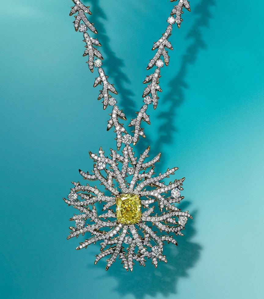 蒂芙尼（Tiffany &amp; Co.）2023奢华珍宝之巧夺天工