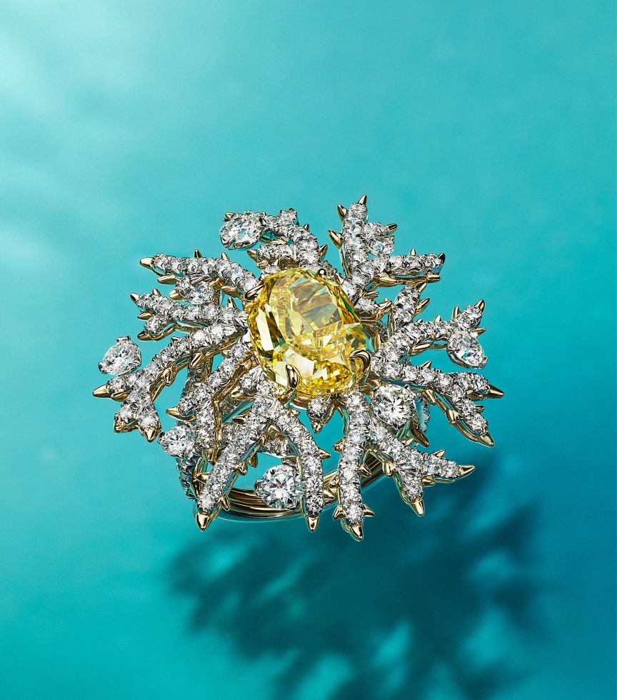 蒂芙尼（Tiffany &amp; Co.）2023奢华珍宝之巧夺天工