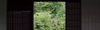华夏典当行官网爱马仕 五一想去山东游玩，自驾游跟参团，你会选哪个？