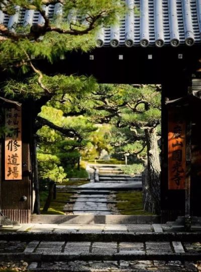 华夏典当行官网爱马仕 五一想去山东游玩，自驾游跟参团，你会选哪个？