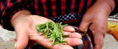 开封回收老庙黄金 河南十大名牌熟牛肉？
