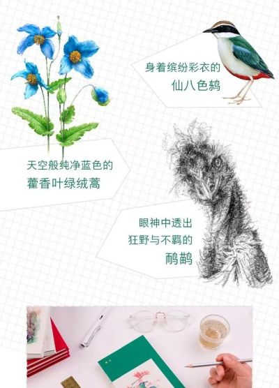 芬迪水桶回收 fendi是多久加入lv中成为最大股东？