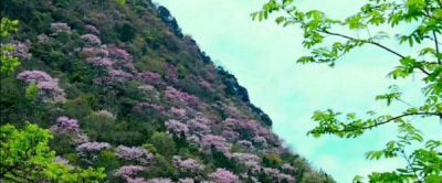 南京爱马仕手表回收电话 南京汤山奥特莱斯有哪些品牌？
