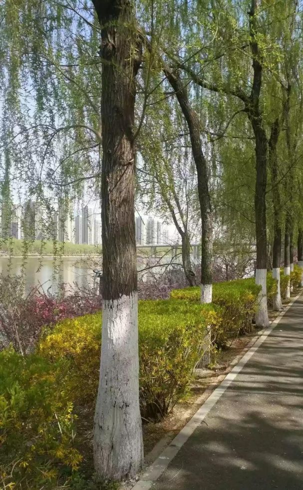 沈阳回收白银古驰戒指 “双十一”过后的你有多穷？有什么想说的吗？