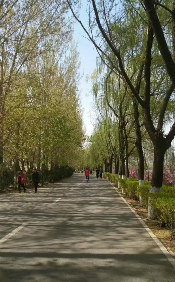 沈阳回收白银古驰戒指 “双十一”过后的你有多穷？有什么想说的吗？