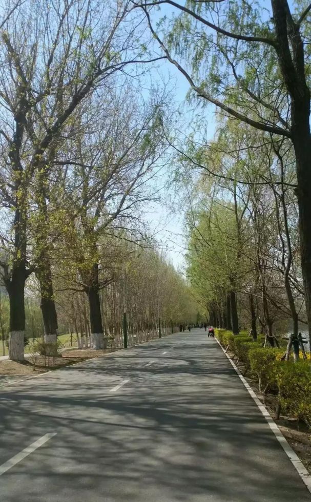 沈阳回收白银古驰戒指 “双十一”过后的你有多穷？有什么想说的吗？