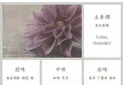 啤酒瓶回收宝格丽 有哪些黑色瓶子的香水？